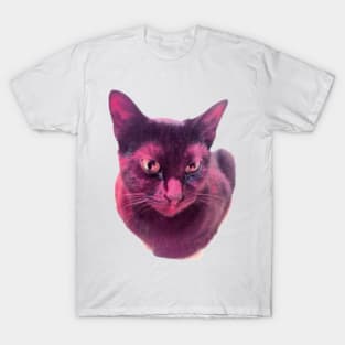 OLIVE OIL THE CAT OG LOGO T-Shirt